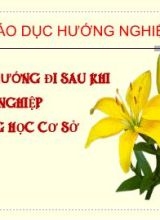 Bài giảng Hướng nghiệp lớp 9 - Chủ đề Các hướng đi sau tốt nghiệp Trung học cơ sở